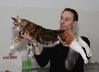 �������� ����� '������� ���-�����' 30 ������-1 ������� 2013., ������������ ��� 2254